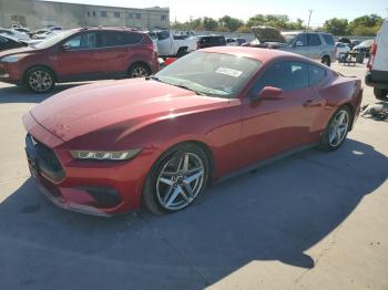  Salvage Ford Mustang