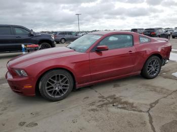  Salvage Ford Mustang