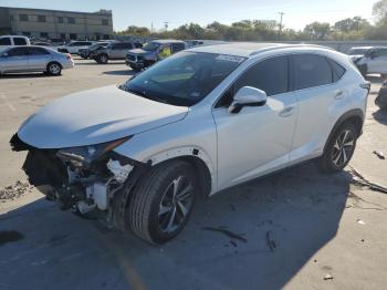  Salvage Lexus NX