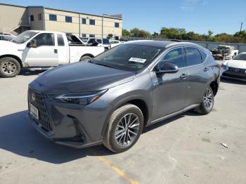  Salvage Lexus NX