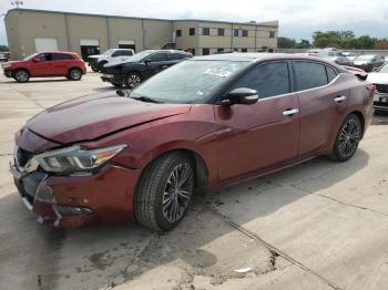  Salvage Nissan Maxima