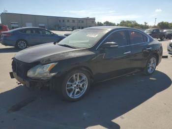  Salvage Nissan Maxima