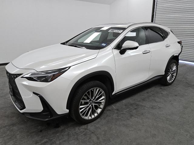  Salvage Lexus NX