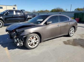  Salvage Nissan Maxima