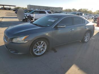  Salvage Nissan Maxima