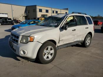  Salvage Ford Escape