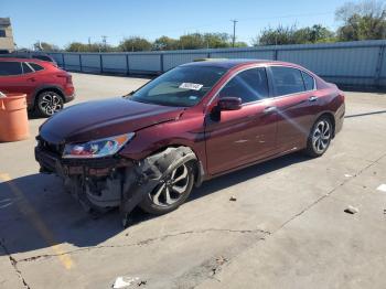  Salvage Honda Accord