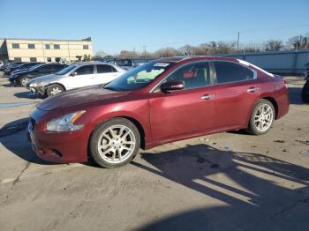  Salvage Nissan Maxima