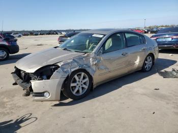  Salvage Nissan Maxima