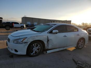  Salvage Nissan Maxima