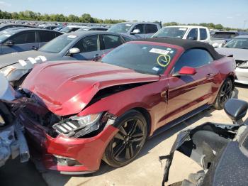  Salvage Ford Mustang