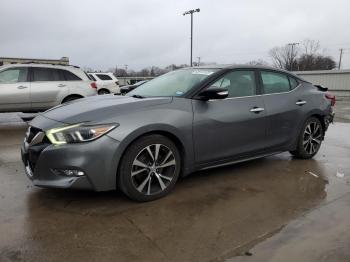  Salvage Nissan Maxima