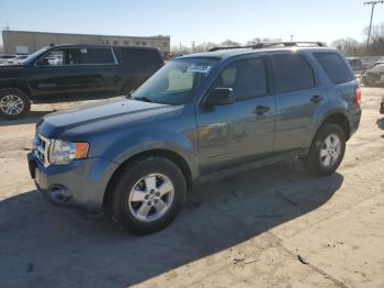  Salvage Ford Escape