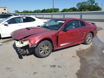  Salvage Ford Mustang