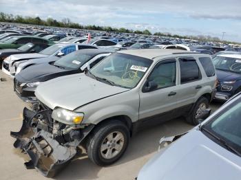  Salvage Ford Escape