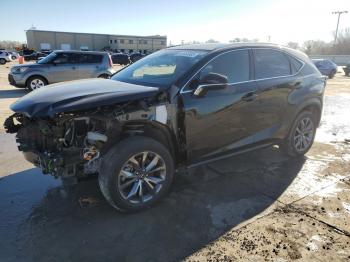  Salvage Lexus NX
