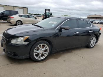  Salvage Nissan Maxima