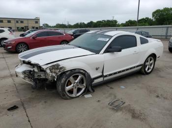  Salvage Ford Mustang