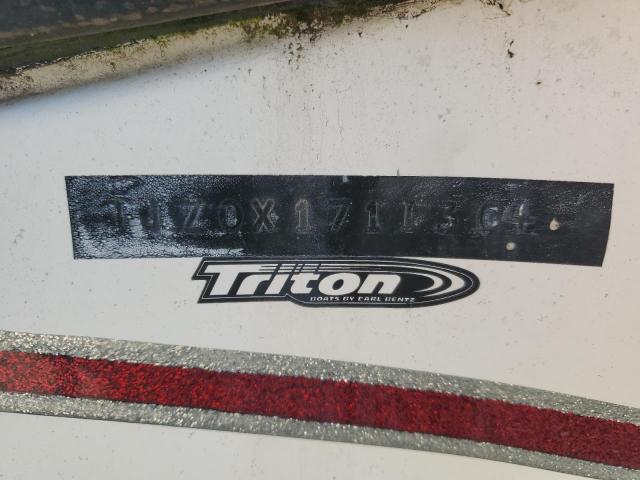 Triton Boat Image 2