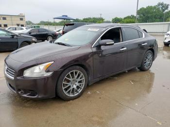  Salvage Nissan Maxima