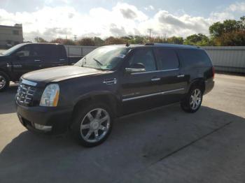  Salvage Cadillac Escalade