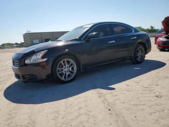  Salvage Nissan Maxima
