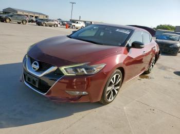  Salvage Nissan Maxima