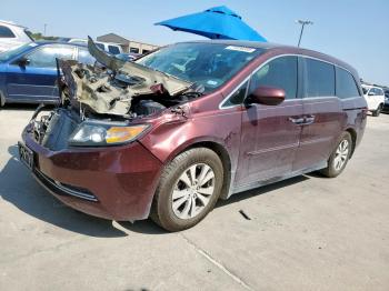  Salvage Honda Odyssey