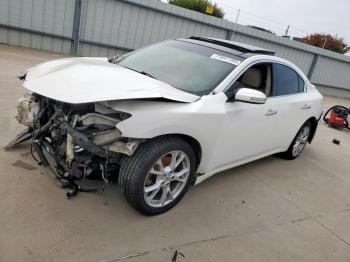  Salvage Nissan Maxima