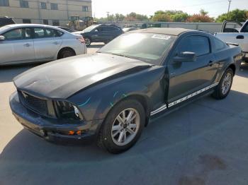  Salvage Ford Mustang