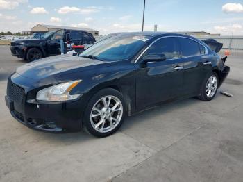  Salvage Nissan Maxima