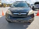 Honda Crv Ex Image 8