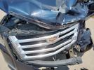 Cadillac Escalade Esv Platinum Image 9