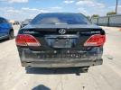Lexus Es 330 Image 5