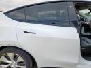 Tesla Model Y Image 6