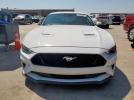 Ford Mustang Gt Image 8