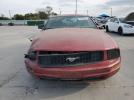 Ford Mustang Image 6
