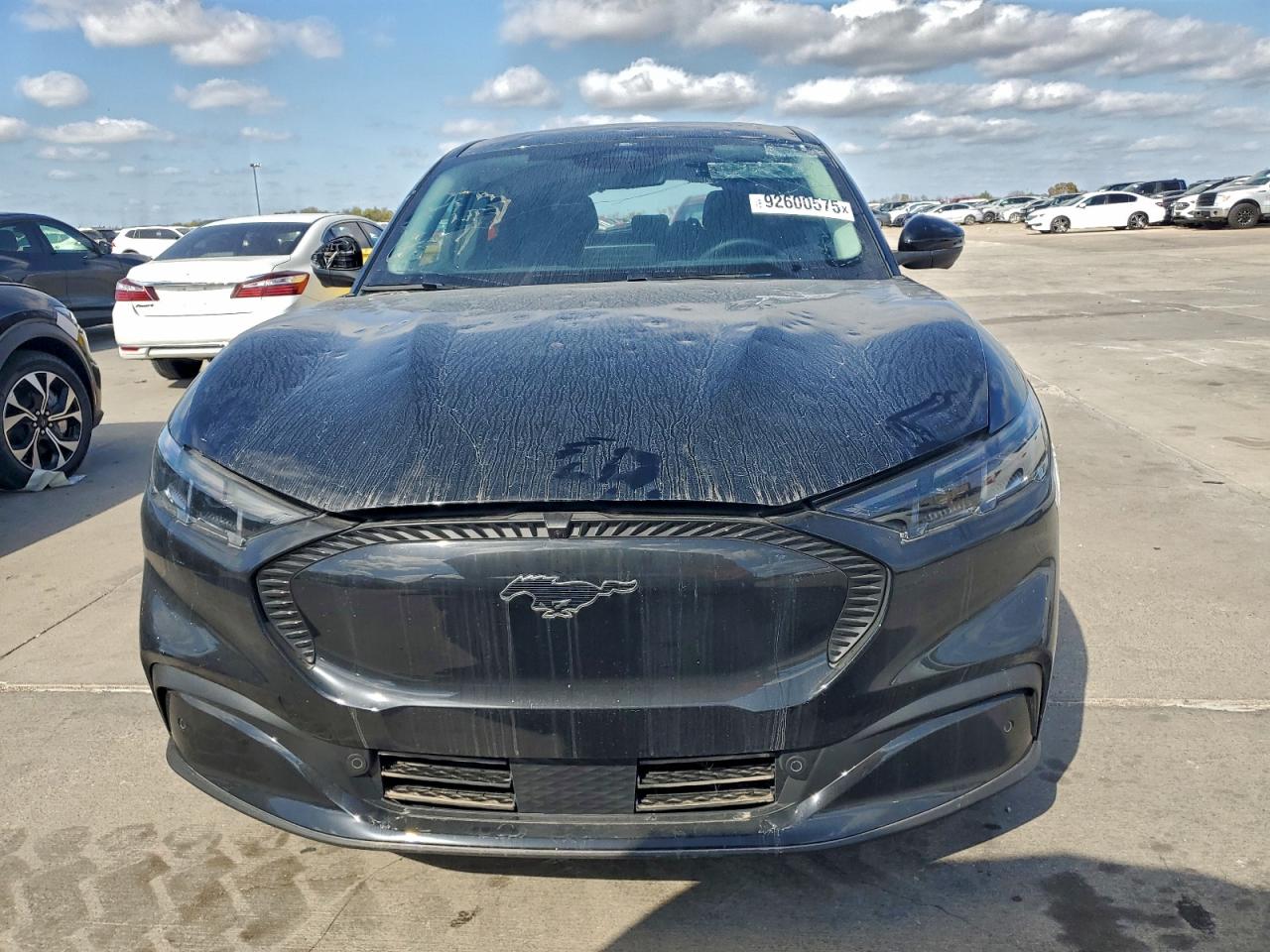 Ford Mustang Select Image 2