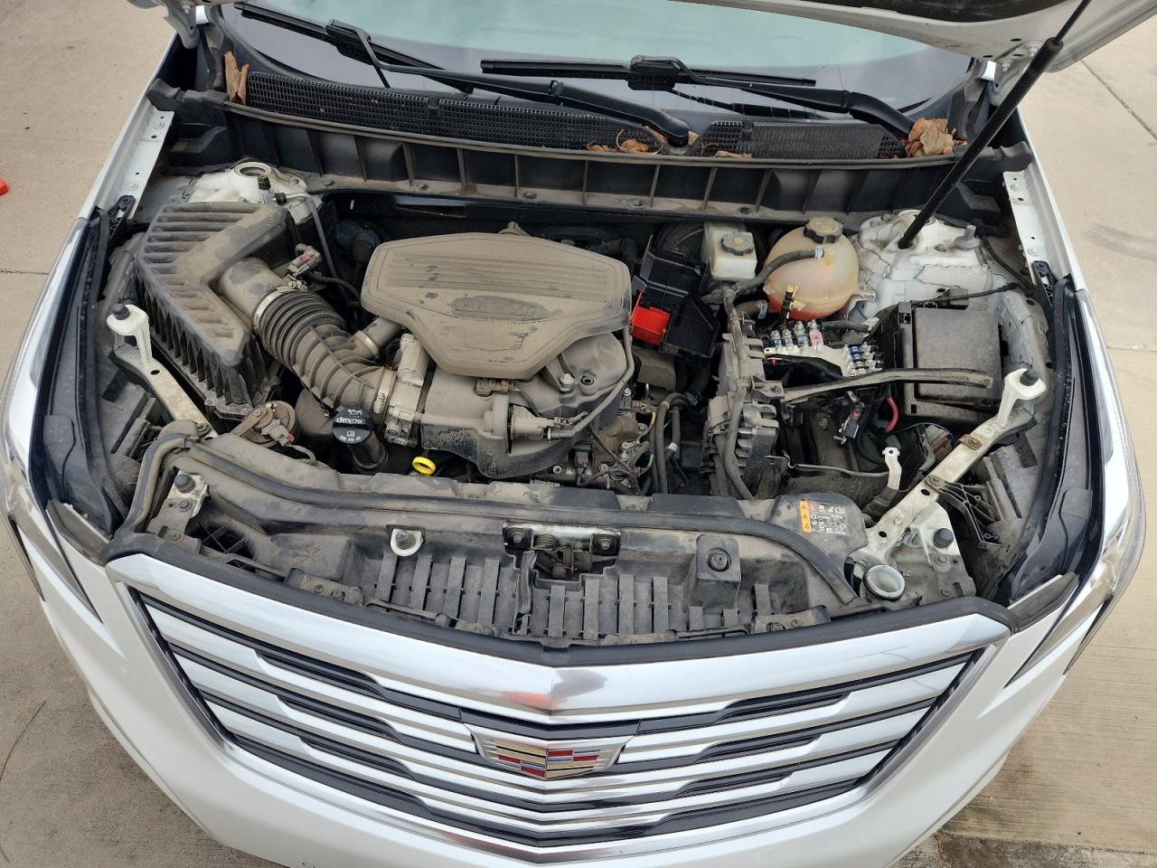 Cadillac XT5 Luxury Image 10