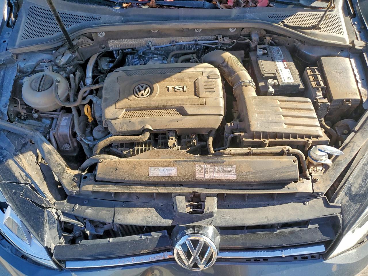 Volkswagen Golf S/se Image 8