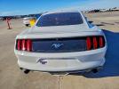 Ford Mustang Image 6