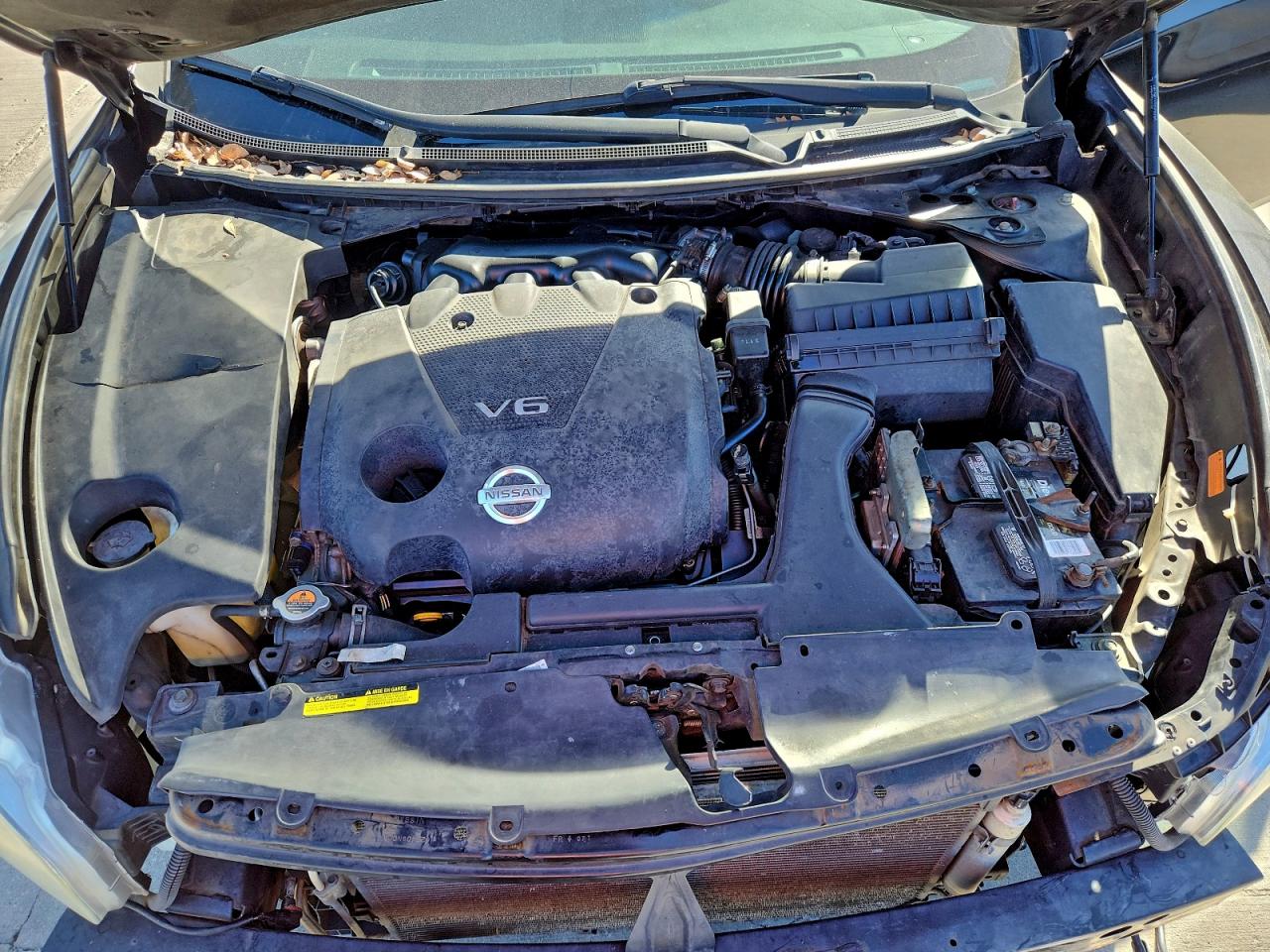 Nissan Maxima S Image 12