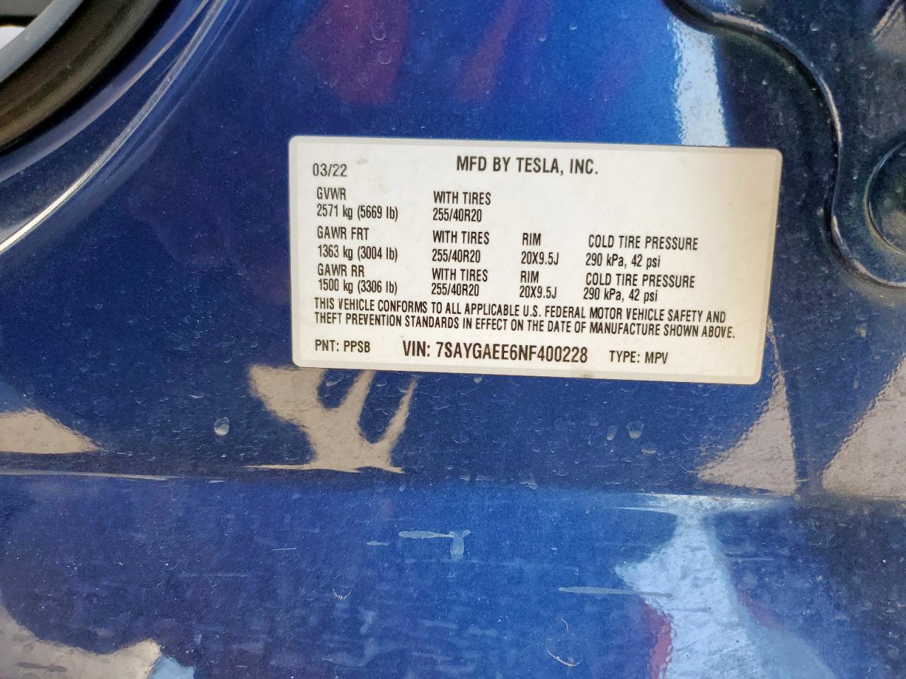 Tesla Model Y Image 4