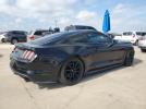Ford Mustang Gt Image 5