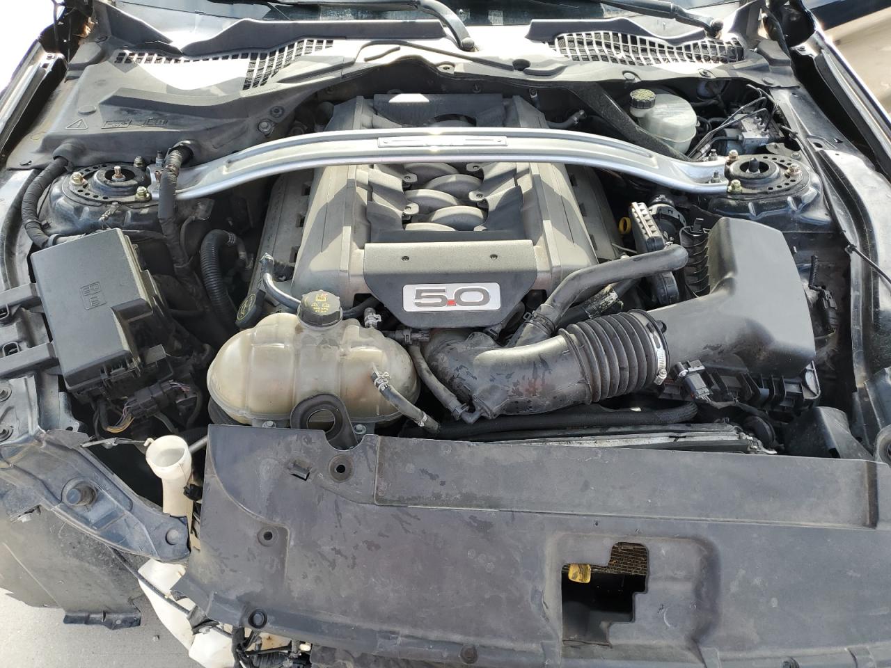 Ford Mustang Gt Image 11