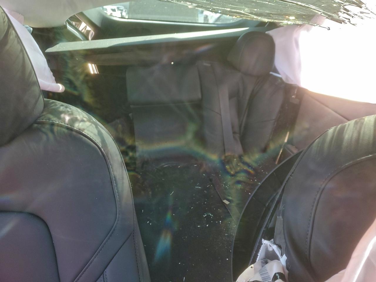 Tesla Model Y Image 12