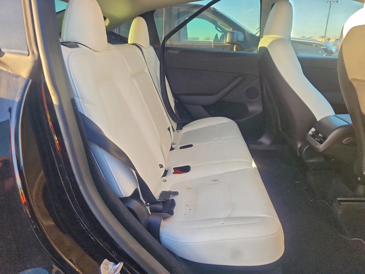 Tesla Model Y Image 10