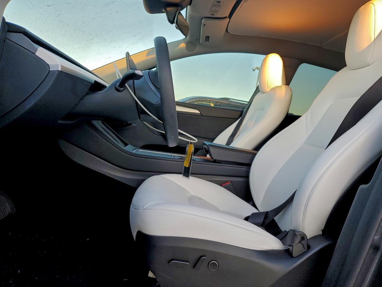 Tesla Model Y Image 3