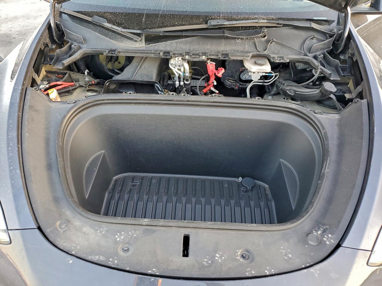 Tesla Model Y Image 11