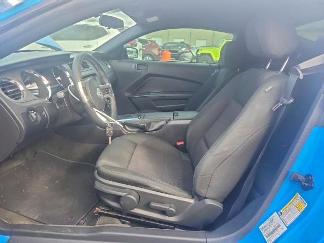 Ford Mustang Image 2